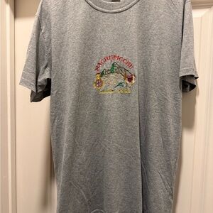 Gray Machu Picchu Graphic Tee